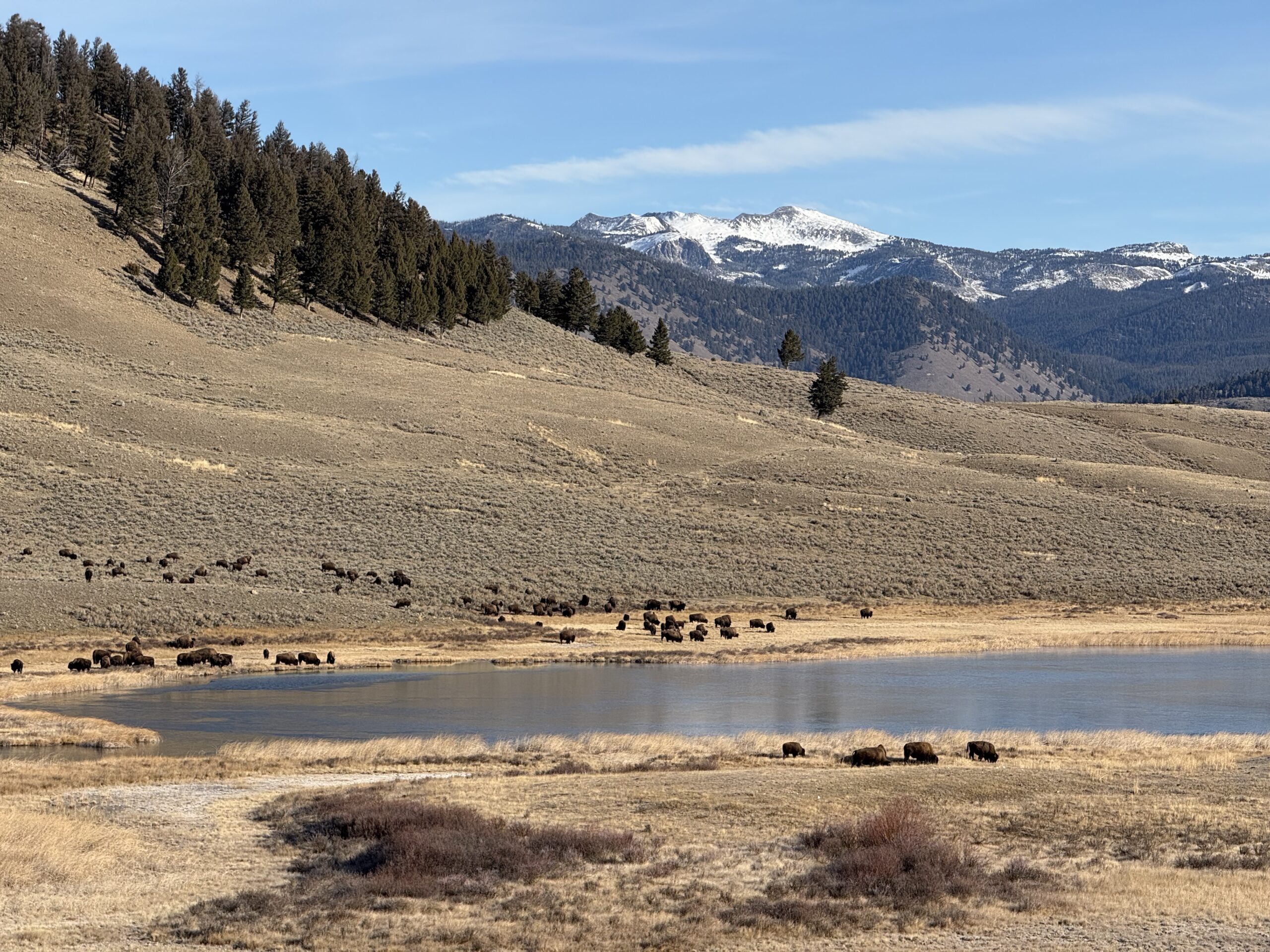 Quiet by Nature: How Helicopters Limit Impact to the Wilderness